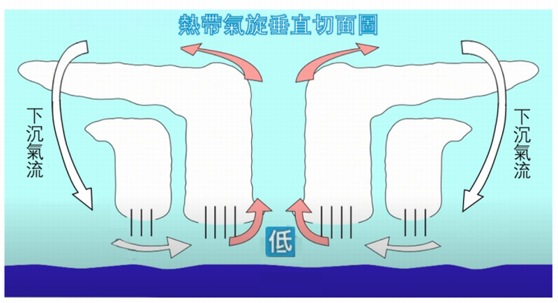 熱帶氣旋外圍下沉氣流示意圖
